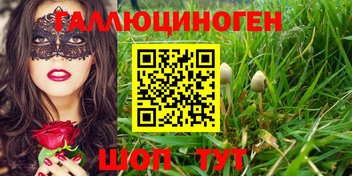 Псилоцибиновые грибы прущие грибы  Вход с VPN  Зеленокумск 